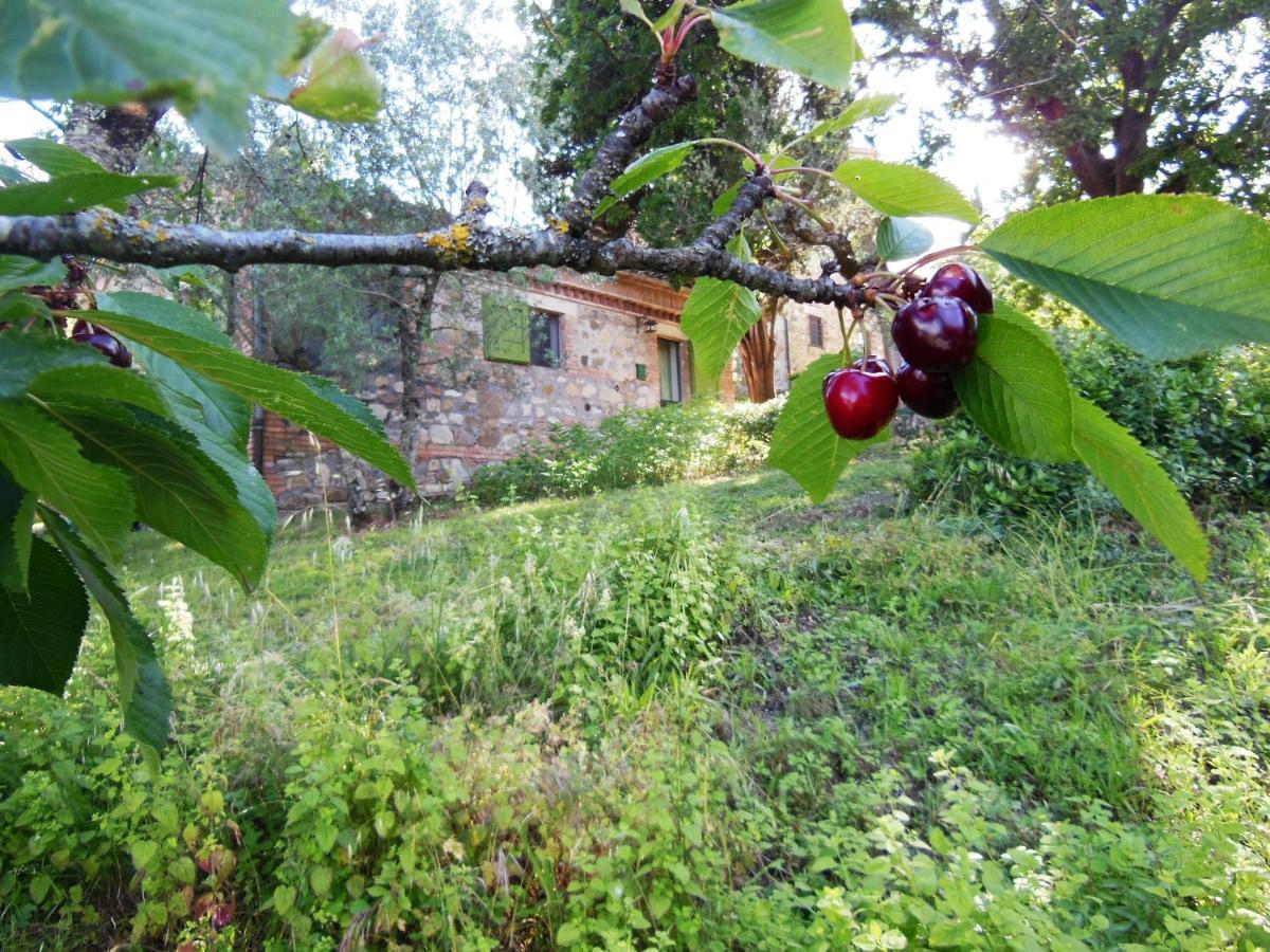 La Fontaiola Βίλα Le Piazze Εξωτερικό φωτογραφία