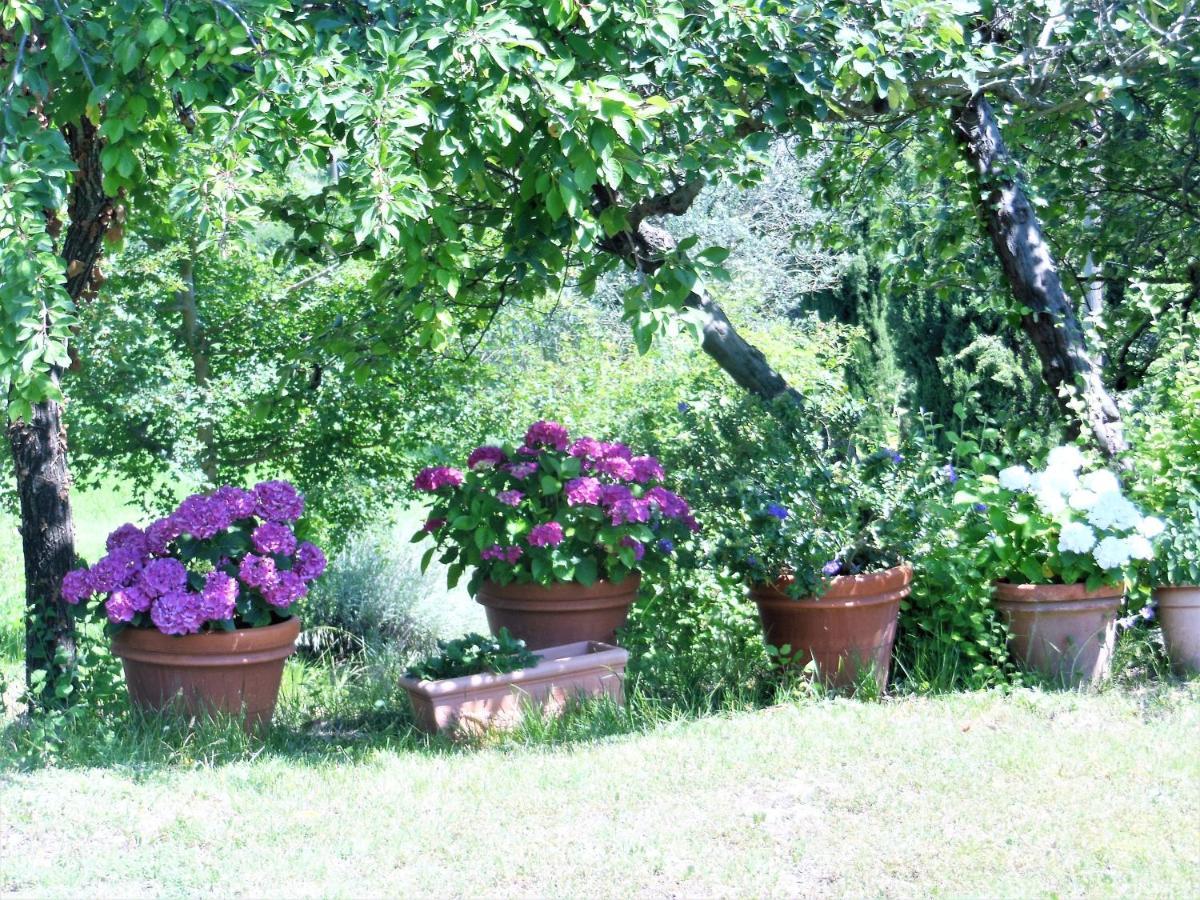 La Fontaiola Βίλα Le Piazze Εξωτερικό φωτογραφία