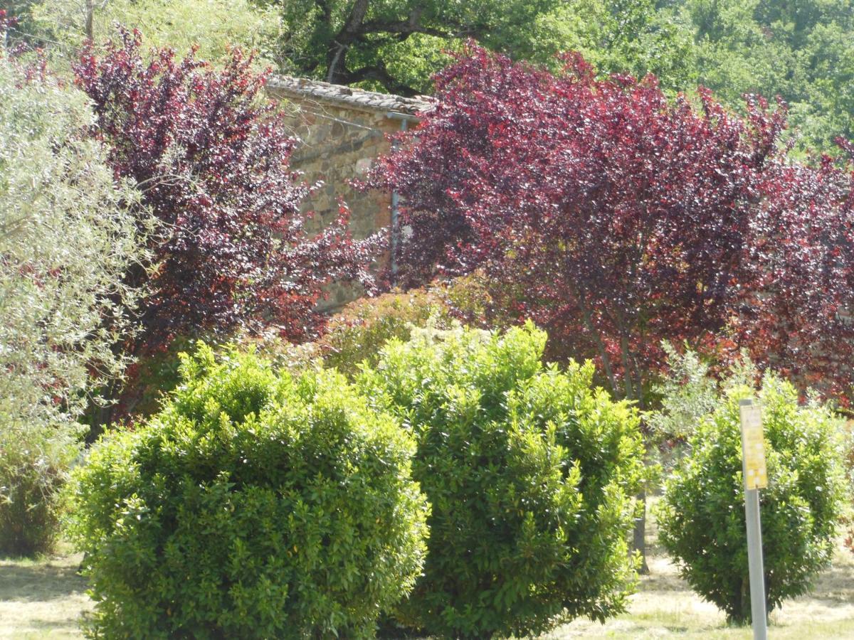 La Fontaiola Βίλα Le Piazze Εξωτερικό φωτογραφία