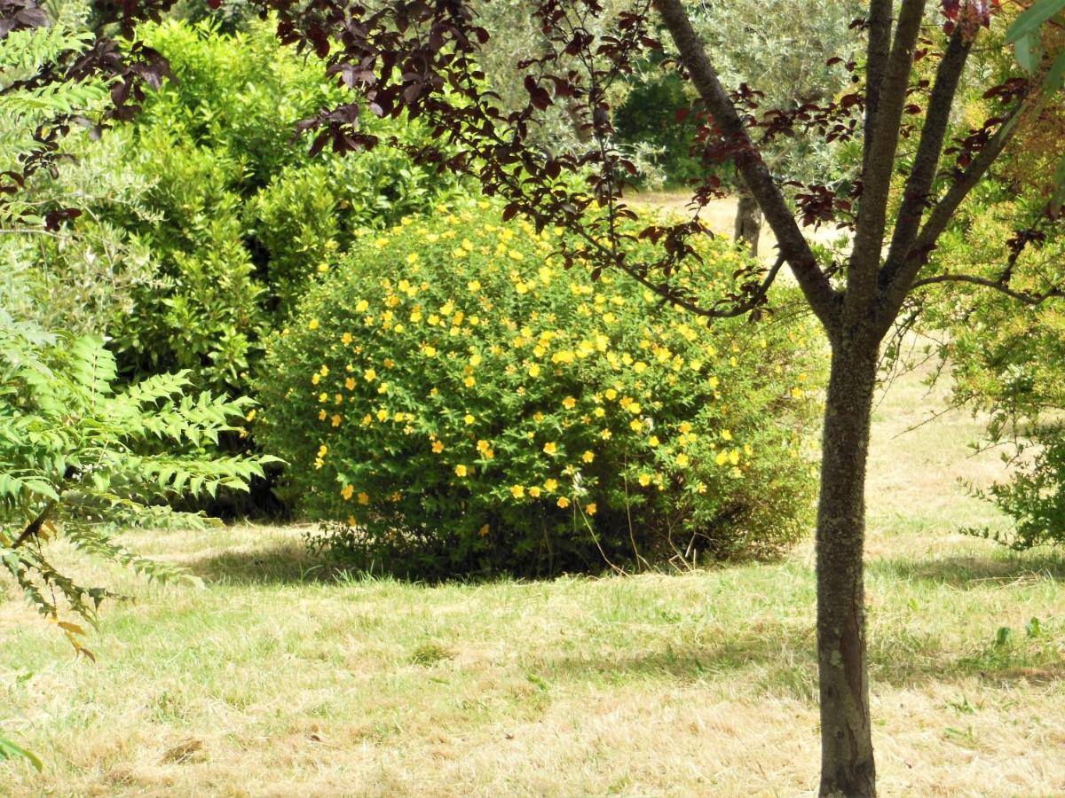 La Fontaiola Βίλα Le Piazze Εξωτερικό φωτογραφία
